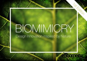 مسابقه بین المللی نوآوری طراحی الهام گرفته از طبیعتbiomimicry