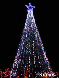 مجله خبری ایشومر 1-magnificent-Christmas-trees-mag-eshomer-226x300 تاریخچه درخت کریسمس و زیباترین درختان کریسمس2017 تازه ها سبک زندگی  نو میلادی کریسمس عيسی سال زیباترین درخت تاریخچه 