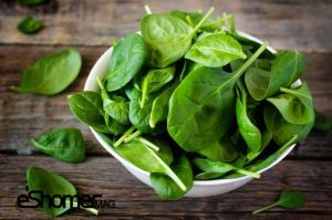 مجله خبری ایشومر mag-eshomer-spinach-300x199 خوراک هایی برای مغز،که شما را از پیری دور نگه می دارد سبک زندگی سلامت و پزشکی  نگه می دارد مغز،که ماهی کلم کاهو شما دور خوراک پیری برای اسفناج آنتی اکسیدان آب انگور  