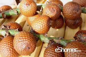 مجله خبری ایشومر salak-treopical-fruit-mag-eshomer-300x200 انواع میوه های استوایی وخواص  شگفت انگیز درمانی آنها(قسمت اول) آشپزی و غذا سبک زندگی  میوه های شگفت سالاک رامبوتان درمانی خواص پوملو انگیز استوایی SALAK RAMBUTAN POMELO  