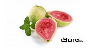 مجله خبری ایشومر GUAVA-mag-eshomer-300x158 انواع میوه های استوایی وخواص شگفت انگیز درمانی آنها(قسمت دوم) آشپزی و غذا سبک زندگی  میوه های شگفت درمانی خواص چمپداک انواع انگیز استوایی استارفروت CEMPEDAK  