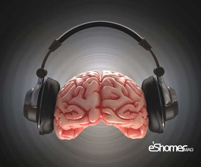 بهبود عملكرد مغز با موسیقی های مختلف