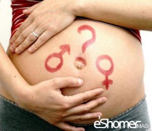 تعیین جنسیت نوزاد با روش طبیعی زمان بندی شده Shettles
