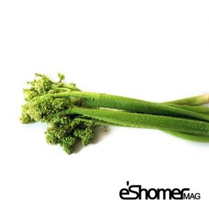 مجله خبری ایشومر -انواع-سبزیجات-و-خواص-درمانی-آنها-،-ریواس-مجله-خبری-ایشومر-300x300 شناخت انواع سبزیجات و خواص درمانی آنها ، ریواس سبک زندگی میوه درمانی  گیاهی گیاه سبزیجات سبزی ریواس درمان خواص درمانی خواص  