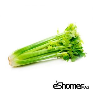 مجله خبری ایشومر شناخت-انواع-سبزیجات-و-خواص-درمانی-آنها-،-کرفس-مجله-خبری-ایشومر-300x300 شناخت انواع سبزیجات و خواص درمانی آنها ، کرفس سبک زندگی میوه درمانی  کرفس سبزیجات خواص درمانی سبزیجات vegetables Herbal therapy celery 