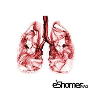 مجله خبری ایشومر -های-ضعیف-شدن-ریه-ها-را-بشناسیم-مجله-خبری-ایشومر-300x300 نشانه های ضعیف شدن ریه ها را بشناسیم سبک زندگی سلامت و پزشکی  نفس سلامت سرفه ریه تنفس پزشکی  
