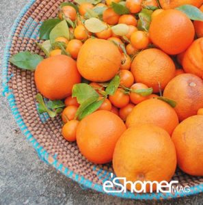 نارنج و خواص ضد سرطانی آن در میوه درمانی