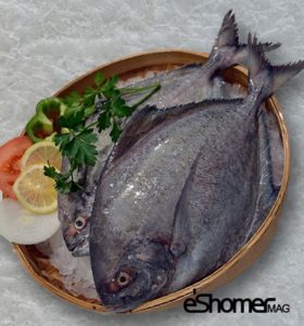 شناخت و نحوه پخت انواع ماهی جنوب در آموزش آشپزی ، حلوای سیاه