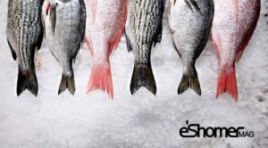 تشخیص ماهی تازه از ماهی مانده در آموزش آشپزی