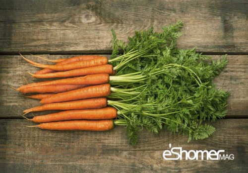 بهترین روش نگهداری و ذخیره هویج چگونه است ؟