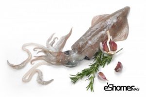 شناخت و نحوه پخت انواع ماهی جنوب در آموزش آشپزی ، ماهی مرکب