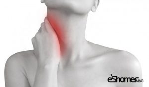 مجله خبری ایشومر -درمانی-برای-پیشگیری-از-گردن-درد-مجله-خبری-ایشومر-300x176 راهکارهای درمانی برای پیشگیری از گردن درد سبک زندگی سلامت و پزشکی  گردن درد گردن پیشگیری از گردن درد  