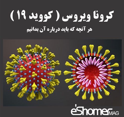 کرونا ویروس (کووید 19) هر آنچه که باید درباره آن بدانیم