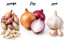 تفاوت موسیر ، پیاز و سیر