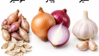تفاوت موسیر ، پیاز و سیر